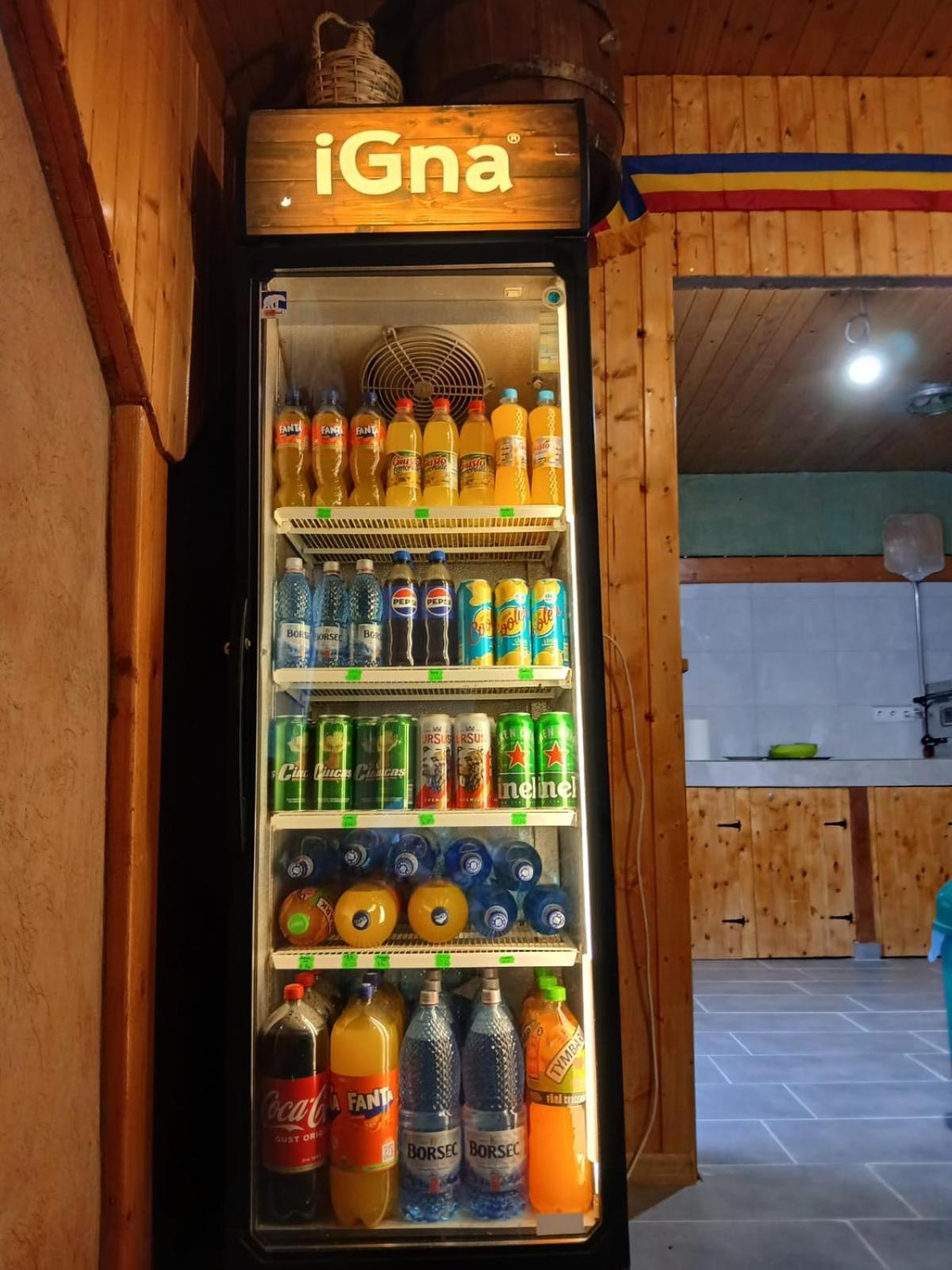 Pensiunea Dates Cîrţişoara Exteriör bild