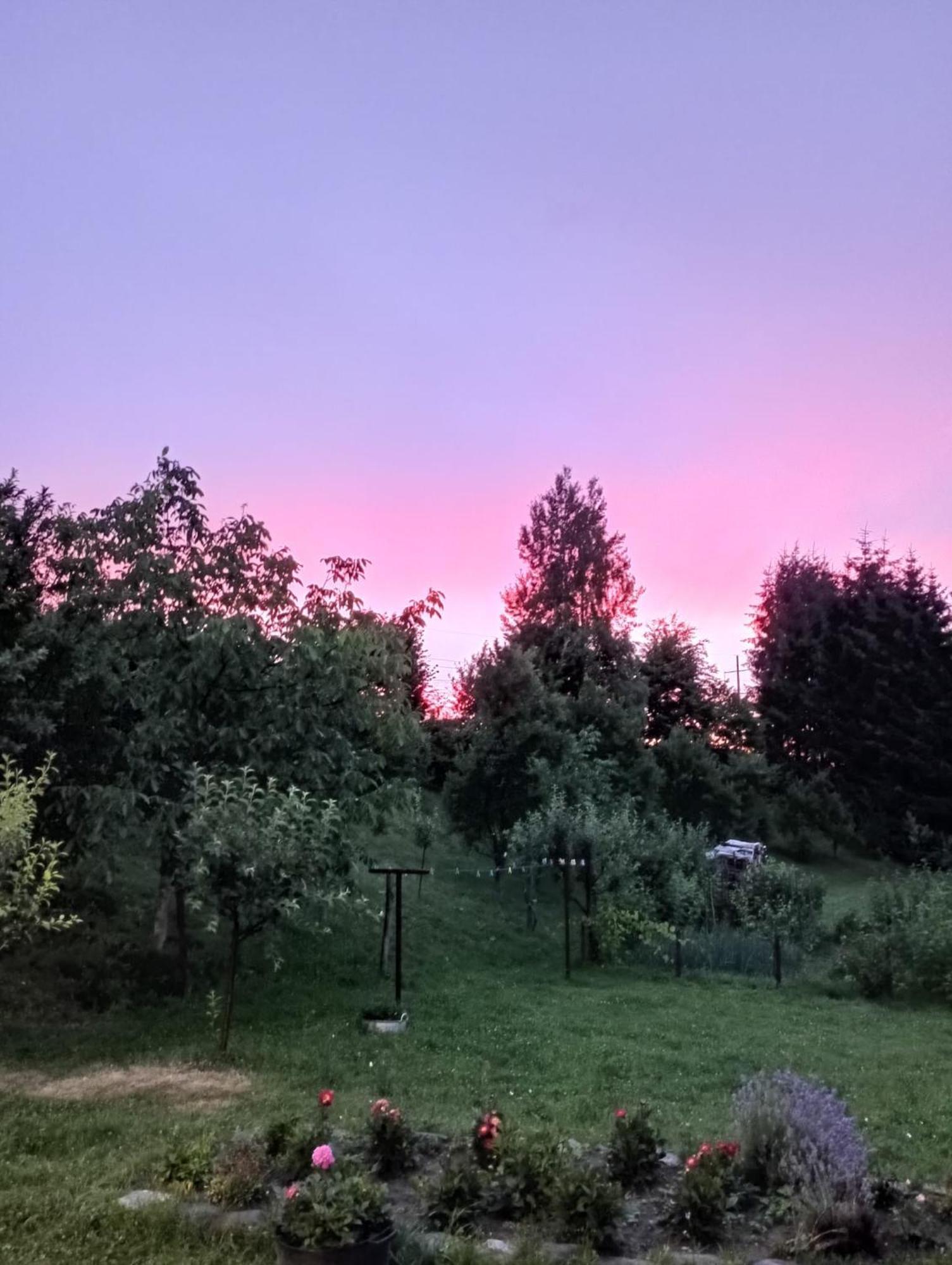 Pensiunea Dates Cîrţişoara Exteriör bild